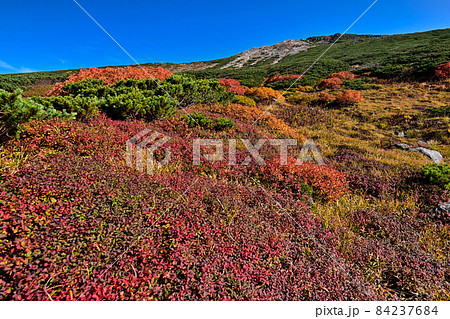 白山室堂平の秋 白山室堂平の秋 84237684