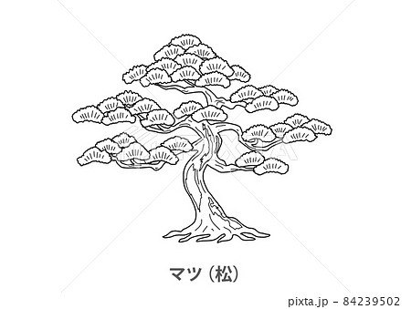 県木 マツ 松 福井県 線画のイラスト素材
