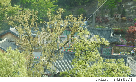 節 風景 春 84239571