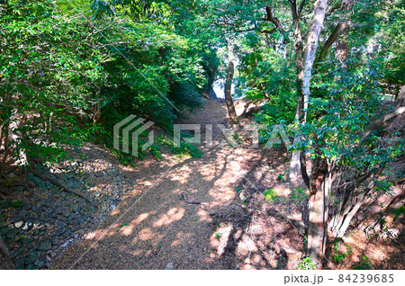 吉田城　土塁　豊橋市 84239685