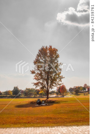 佐賀県立森林公園 秋の風景の写真素材