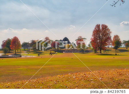 佐賀県立森林公園、秋の風景 佐賀県立森林公園、秋の風景 84239765