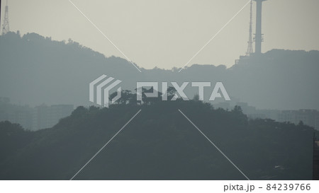 南山タワー ウンボンサン 春 84239766