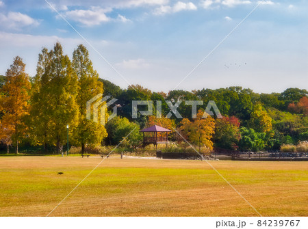 佐賀県立森林公園、秋の風景 佐賀県立森林公園、秋の風景 84239767