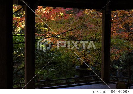 三滝寺六角堂から見た紅葉 84240003