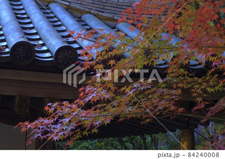 紅葉とお寺 紅葉とお寺 84240008