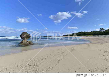 奄美大島の土盛海岸 奄美大島の土盛海岸 84240047