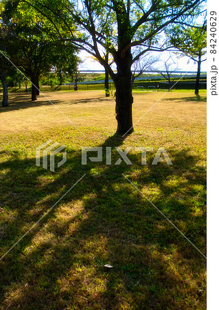 佐賀県立森林公園、秋の風景 佐賀県立森林公園、秋の風景 84240629