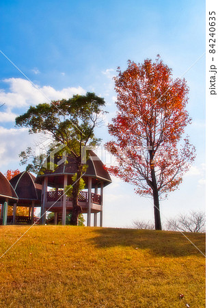 佐賀県立森林公園、秋の風景 84240635