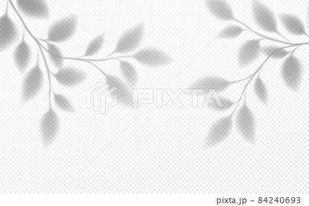 Realistic transparent shadow of a tree branch with leaves isolated on a transparent background. Vector illustration 84240693