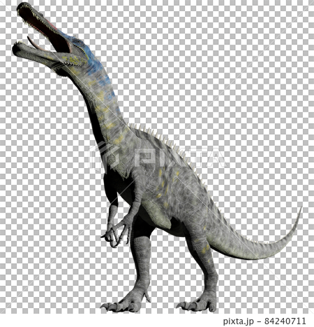 Suchomimus ☆ Suchomimus Suchomimus ☆ Suchomimus 84240711
