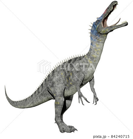 スコミムス☆Suchomimus 84240715