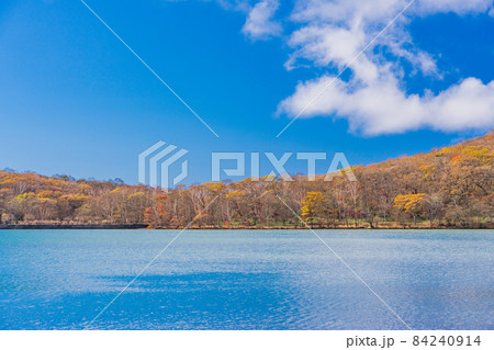 (群馬県)赤城山・小沼湖畔 一足早い秋 (群馬県)赤城山・小沼湖畔 一足早い秋 84240914