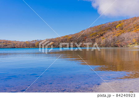 (群馬県)赤城山・小沼湖畔 一足早い秋 (群馬県)赤城山・小沼湖畔 一足早い秋 84240923