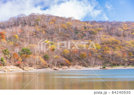 (群馬県)赤城山・小沼湖畔 一足早い秋 (群馬県)赤城山・小沼湖畔 一足早い秋 84240930