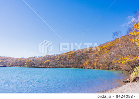 (群馬県)赤城山・小沼湖畔 一足早い秋 (群馬県)赤城山・小沼湖畔 一足早い秋 84240937