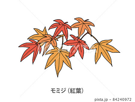 県木 モミジ 紅葉 広島県のイラスト素材