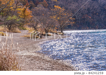 （群馬県）赤城山・小沼　一足早い秋 84241259