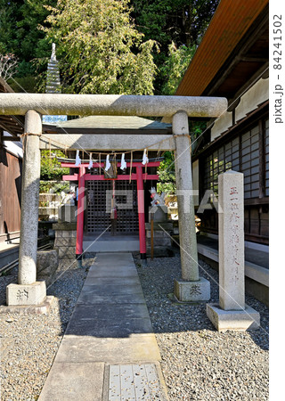 池上散歩：大坊本行寺　日蓮宗　瘡守稲荷 84241502