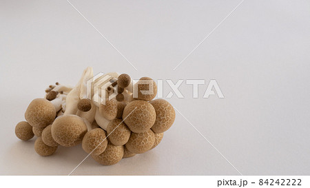 ぶなしめじ 84242222