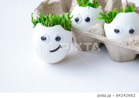 Fresh micro greens. Microgreens of arugula and cress grow in white egg shell with funny faces. Sprouts. Seedlings without plastic. Growing microgreens at home Fresh micro greens. Microgreens of arugula and cress grow in white egg shell with funny faces. Sprouts. Seedlings without plastic. Growing microgreens at home 84242662