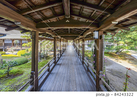秋の大覚寺(京都)村雨の廊下 秋の大覚寺(京都)村雨の廊下 84243322