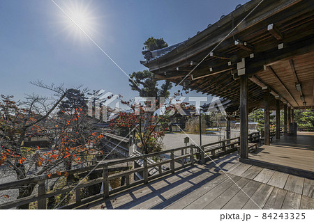 秋の大覚寺（京都）五大堂観月台より望む白砂庭園 84243325