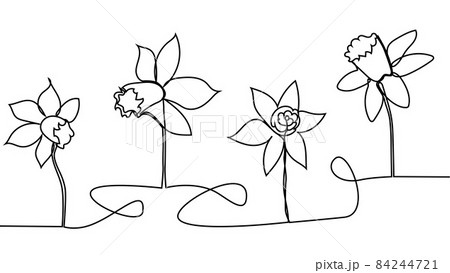 One single line drawing of beauty fresh narcissus for garden. Printable decorative daffodil flower concept. Trendy continuous line draw design 84244721