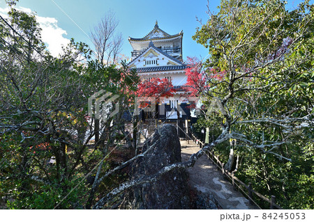青空の岐阜城　天守閣と城壁 84245053