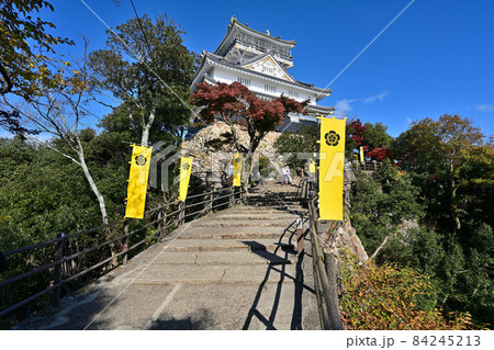 青空の岐阜城 天守閣と城壁 青空の岐阜城 天守閣と城壁 84245213