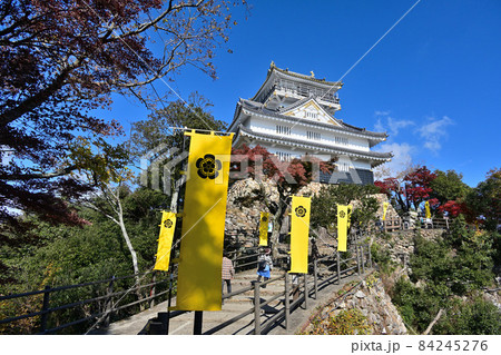 青空の岐阜城　天守閣と城壁 84245276