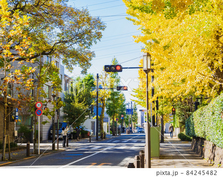 住宅街の秋 成城 住宅街の秋 成城 84245482
