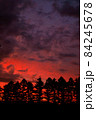 信州の野辺山高原、美しい夕焼けに浮かぶ針葉樹の林 84245678