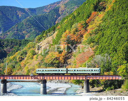 静岡県　大井川第四橋梁の紅葉とローカル線　11月 84246055