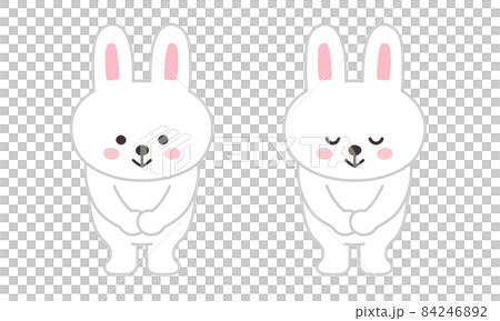 おじぎをするウサギのイラスト　全身 84246892