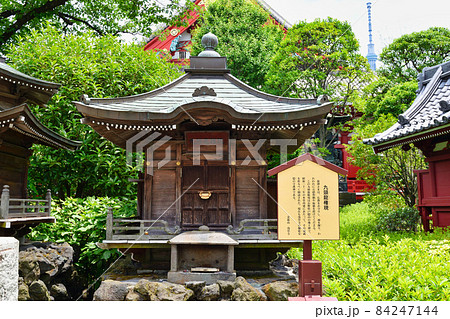 浅草寺 九頭龍権現(東京都台東区) 浅草寺 九頭龍権現(東京都台東区) 84247144
