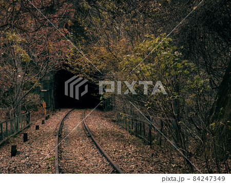 晩秋の廃線跡　信越本線　碓氷峠　11月 84247349