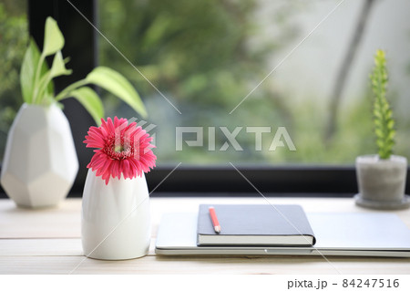 Pink gerbera flower and notebook on desk in front of window Pink gerbera flower and notebook on desk in front of window 84247516