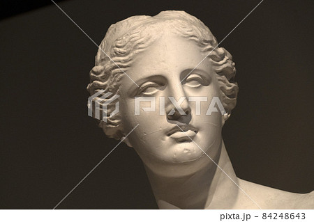 Venus of milo statue detail Venus of milo statue detail 84248643