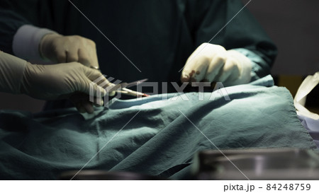 Team of Doctor save the patient's life 84248759