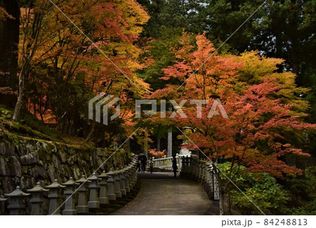 四国霊場六十六番雲辺寺山の紅葉した参道 四国霊場六十六番雲辺寺山の紅葉した参道 84248813
