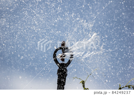 Black water sprinkler working 84249237