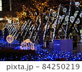 函館イルミネーション冬 84250219