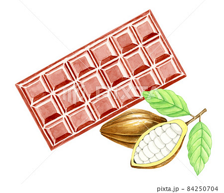 チョコレートとカカオ豆 手描き水彩画 のイラスト素材