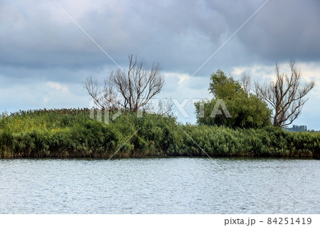 landscape of the lake in the Ukrainian part of the Danube Delta 84251419