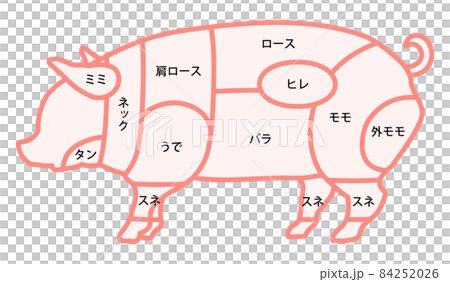 豚肉の部位 84252026
