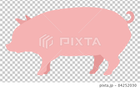 一頭豬 一頭豬 84252030