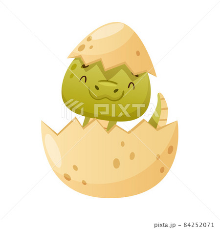 Cute green snake in hatching from egg. Funny wild reptile baby animal cartoon vector illustration 84252071