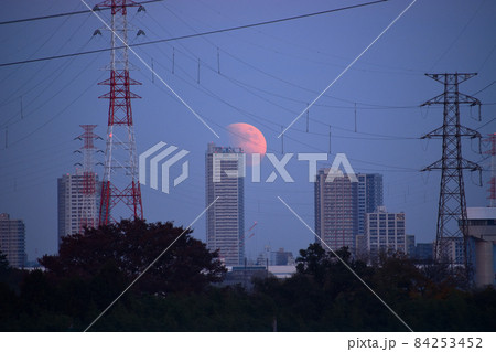 月出帯食 月出帯食 84253452