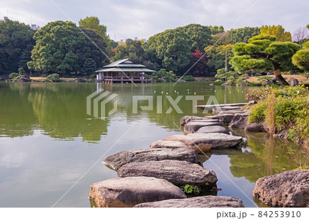 秋の清澄庭園 秋の清澄庭園 84253910